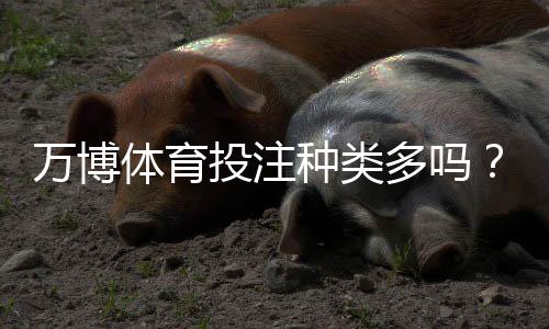 万博体育投注种类多吗?一文看懂常见玩法、玩法差异与新手攻略