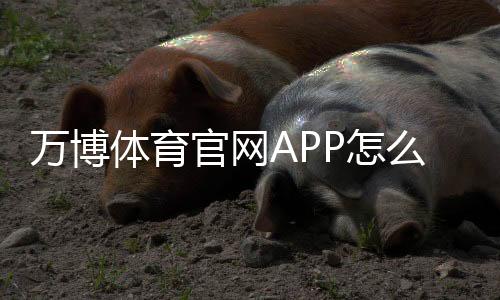 万博体育官网APP怎么玩?新手下载安装、注册充值与安全防骗完整指南