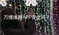 万博体育APP安全吗?安全性如何评估隐私与支付风险全解析