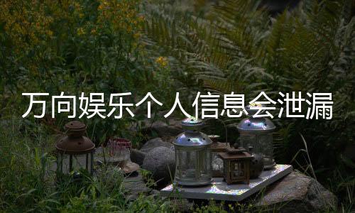 万向娱乐个人信息会泄漏吗?深度解析平台安全性与防护措施