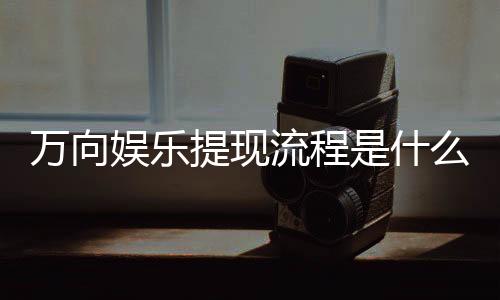 万向娱乐提现流程是什么?详细步骤与到账时间解析