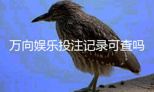 万向娱乐投注记录可查吗?一文详解查询方法与平台安全性