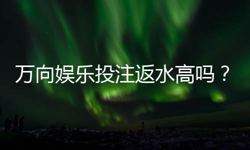 万向娱乐投注返水高吗?揭秘高返水活动与实战技巧