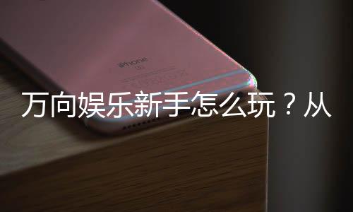 万向娱乐新手怎么玩?从注册到赢钱的完整入门指南