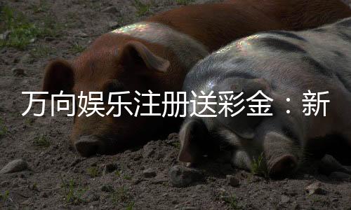 万向娱乐注册送彩金:新会员专享彩金福利大放送