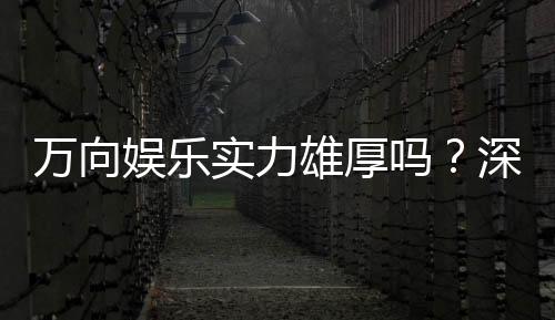 万向娱乐实力雄厚吗?深度解析其平台优势与玩家真实体验