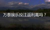 万泰娱乐投注返利高吗?实测返利比例与玩家真实收益解析