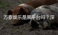 万泰娱乐是黑平台吗?深度解析其信誉与玩家真实体验