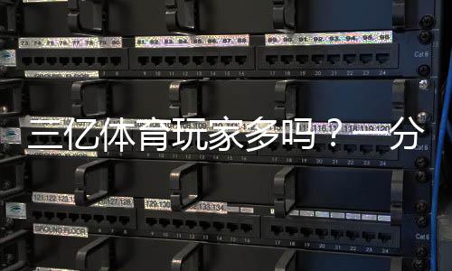 三亿体育玩家多吗?一分钟看懂平台用户规模与可信度