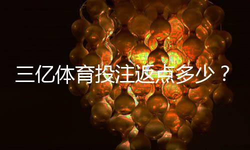 三亿体育投注返点多少?最新返点比例、计算方法与实战套利技巧