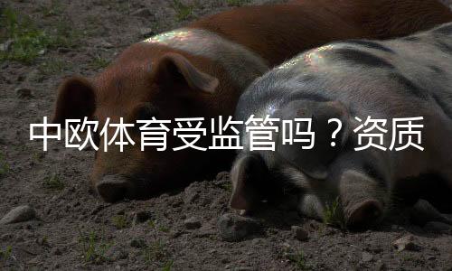 中欧体育受监管吗?资质核查、监管机构与用户风险评估详解