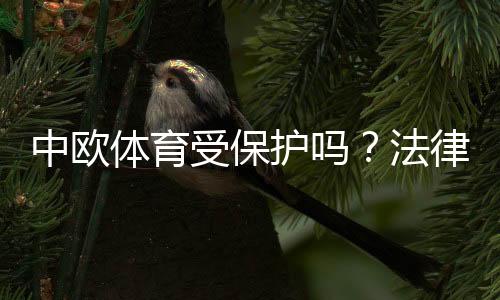 中欧体育受保护吗?法律地位、商标版权与维权全解析