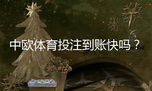 中欧体育投注到账快吗?提现速度、到账流程与常见问题全解析