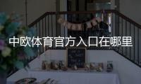 中欧体育官方入口在哪里?新手快速访问、登录与安全识别全攻略