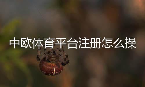 中欧体育平台注册怎么操作?快速注册流程、实名认证与常见问题详解