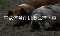 中欧体育评价怎么样?真实用户口碑、平台信誉与风险全面解析