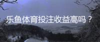 乐鱼体育投注收益高吗?真实收益解析、风险评估与新手避坑指南
