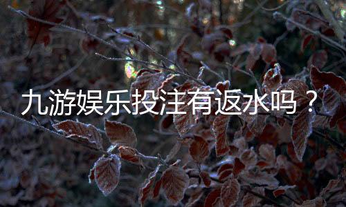 九游娱乐投注有返水吗?返水政策、计算方法与新手领取攻略