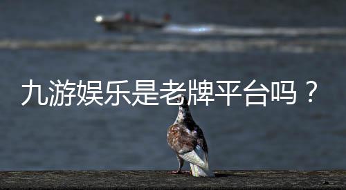 九游娱乐是老牌平台吗?2026权威评测、运营历史与用户口碑全解析