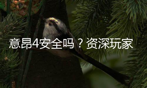 意昂4安全吗?资深玩家解析平台可靠性与游戏体验