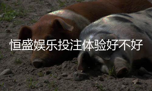 恒盛娱乐投注体验好不好?资深玩家亲测真实反馈
