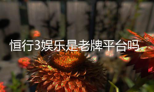 恒行3娱乐是老牌平台吗?资深玩家为你揭秘其历史与实力