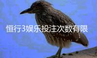 恒行3娱乐投注次数有限制吗？详细规则与突破技巧解析