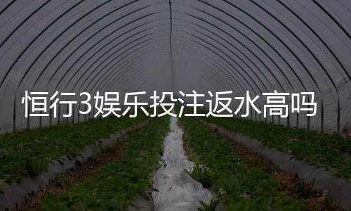 恒行3娱乐投注返水高吗?揭秘高返水活动与实战技巧
