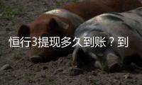恒行3提现多久到账?到账时间及流程详解