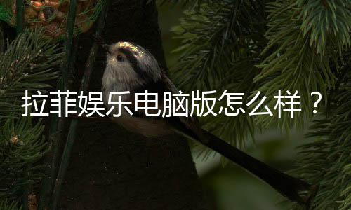 拉菲娱乐电脑版怎么样?资深玩家真实体验评测