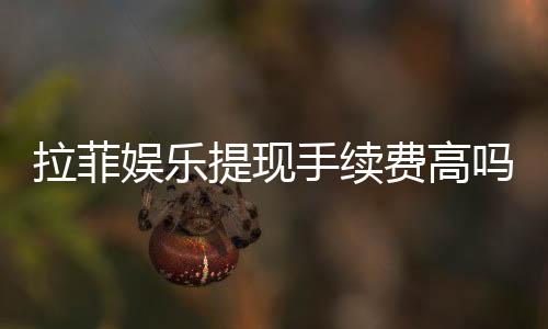 拉菲娱乐提现手续费高吗?资深玩家解析费用详情与优化策略