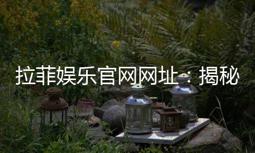 拉菲娱乐官网网址:揭秘官网注册与独家优惠活动