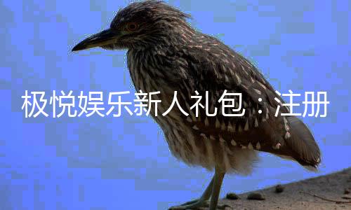 极悦娱乐新人礼包:注册即享豪华礼遇与高额返利