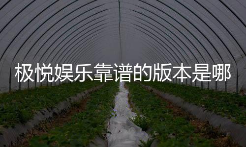 极悦娱乐靠谱的版本是哪一个?资深玩家揭秘最佳选择
