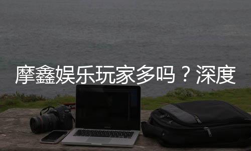 摩鑫娱乐玩家多吗?深度解析平台人气与玩家真实体验