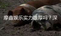 摩鑫娱乐实力雄厚吗?深度解析其平台优势与玩家真实体验