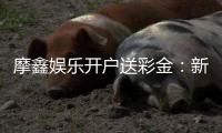 摩鑫娱乐开户送彩金:新会员专享彩金豪礼轻松开启赢利之旅
