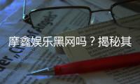 摩鑫娱乐黑网吗?揭秘其真实运营内幕与玩家风险提示