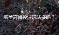 新美高梅投注玩法多吗？揭秘平台特色游戏与创新玩法