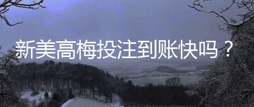 新美高梅投注到账快吗?实测到账速度与提款技巧分享
