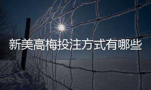 新美高梅投注方式有哪些?详解主流玩法与技巧攻略