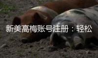 新美高梅账号注册：轻松三步完成畅享豪华游戏体验