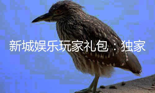 新城娱乐玩家礼包:独家福利与高额返水等你领取