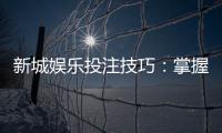 新城娱乐投注技巧:掌握这5个实战策略提升胜率