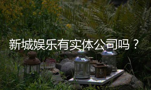 新城娱乐有实体公司吗？实地探访其线下运营与资质详情