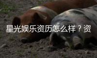 星光娱乐资历怎么样?资深玩家带你了解平台实力与背景