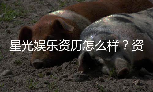 星光娱乐资历怎么样?资深玩家带你了解平台实力与背景