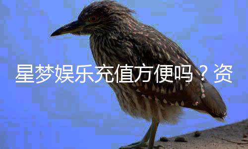星梦娱乐充值方便吗?资深玩家实测充值流程与到账速度