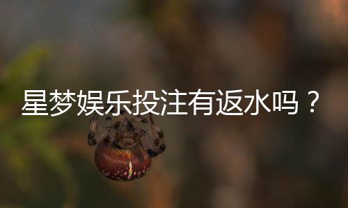 星梦娱乐投注有返水吗?揭秘平台返水规则与实战技巧