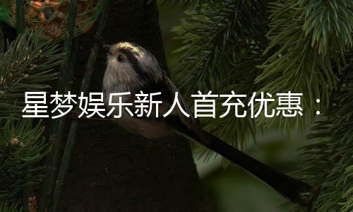 星梦娱乐新人首充优惠:首存即送豪礼注册立享三重福利